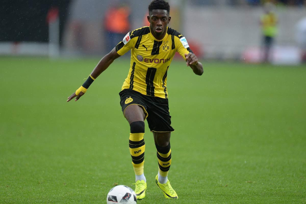 入年轻且具 入年轻且具